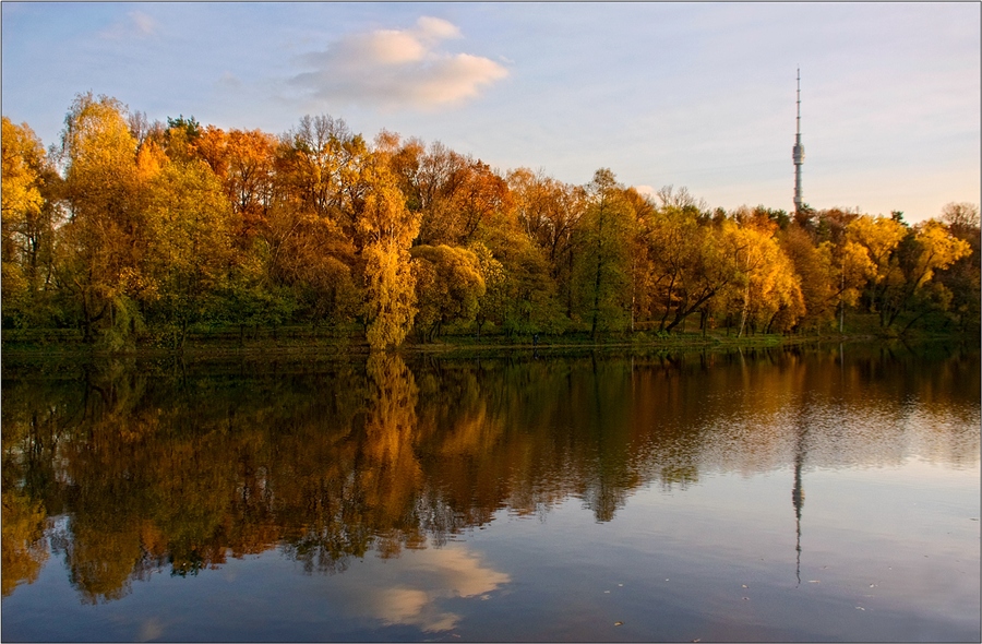 Фото жизнь