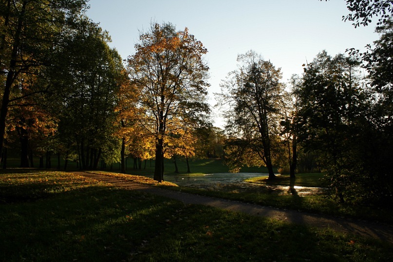Фото жизнь (light) - Иванова Елизавета - корневой каталог - Осень в парке