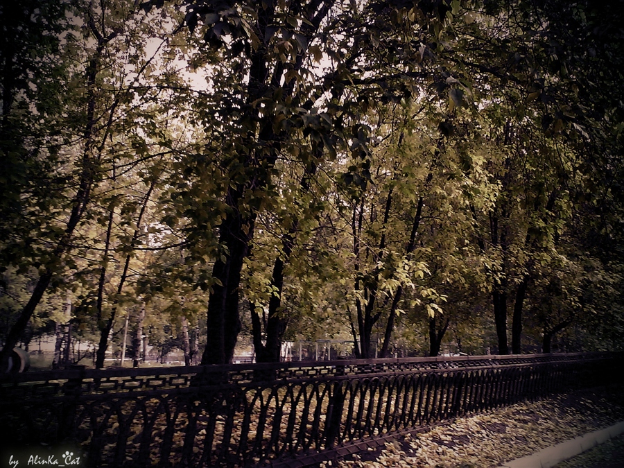 Фото жизнь