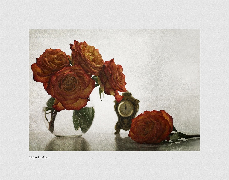 Фото жизнь (light) - Lilliya - корневой каталог - когда вянут розы....