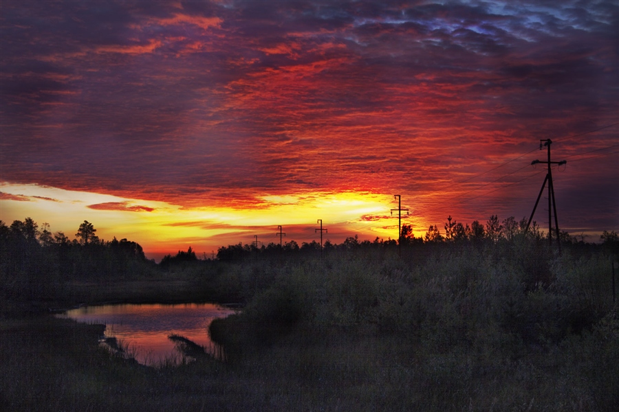 Фото жизнь
