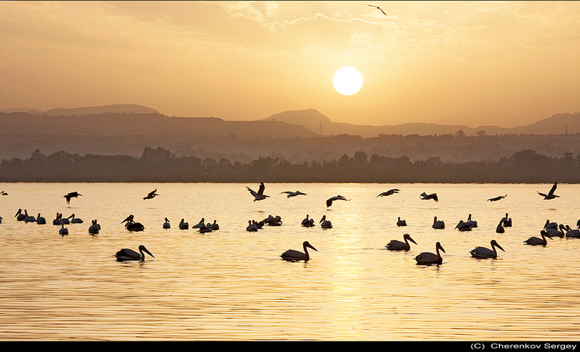 Фото жизнь (light) - Sergey Cherenkov - АЛЬБОМ Эфиопия (Ethiopia) - Восход на озере Тана