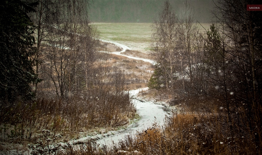 Фото жизнь