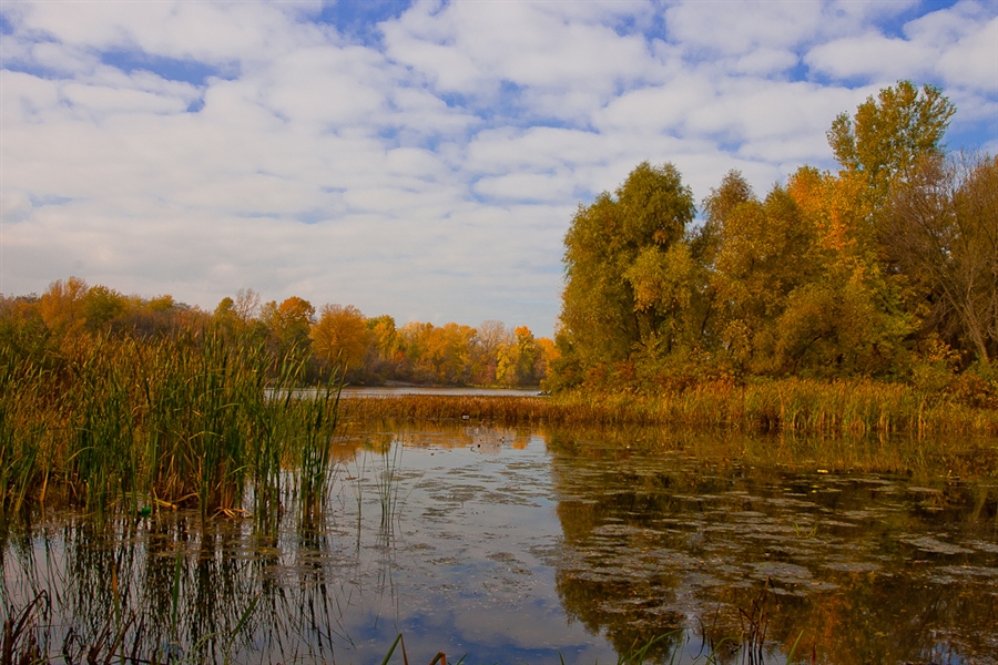 Фото жизнь