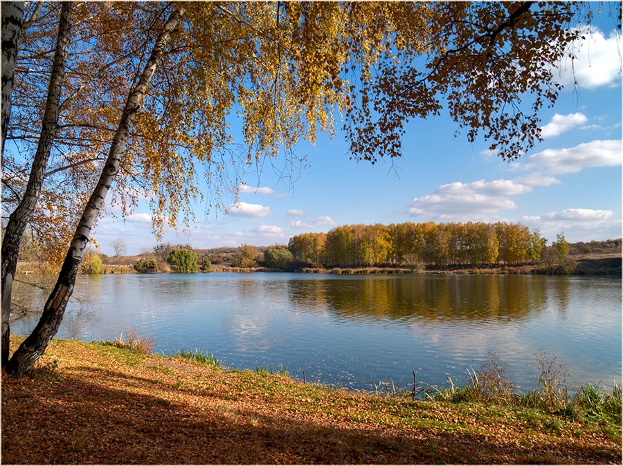 Фото жизнь