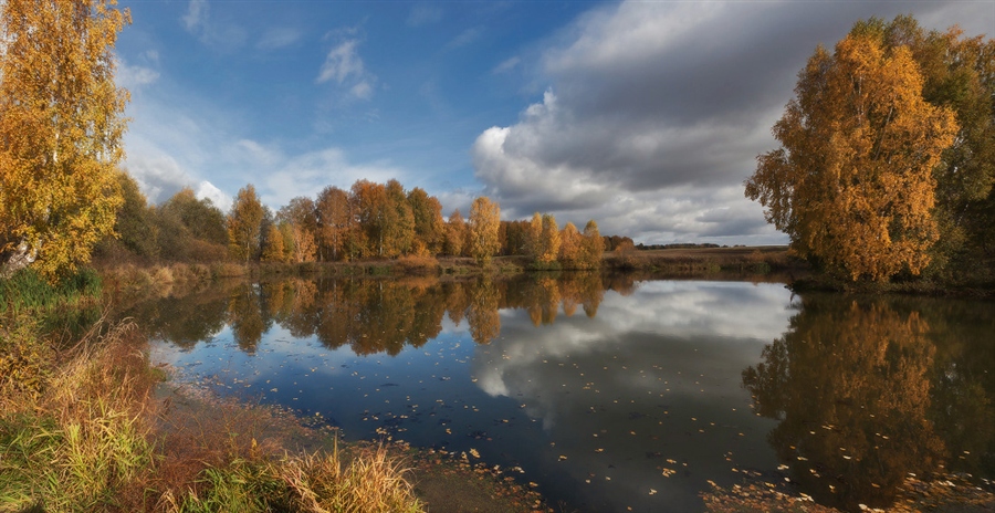Фото жизнь