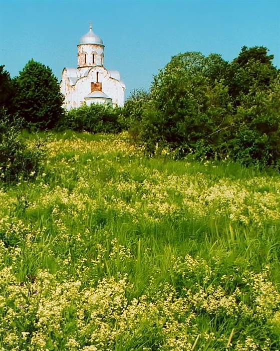 Фото жизнь