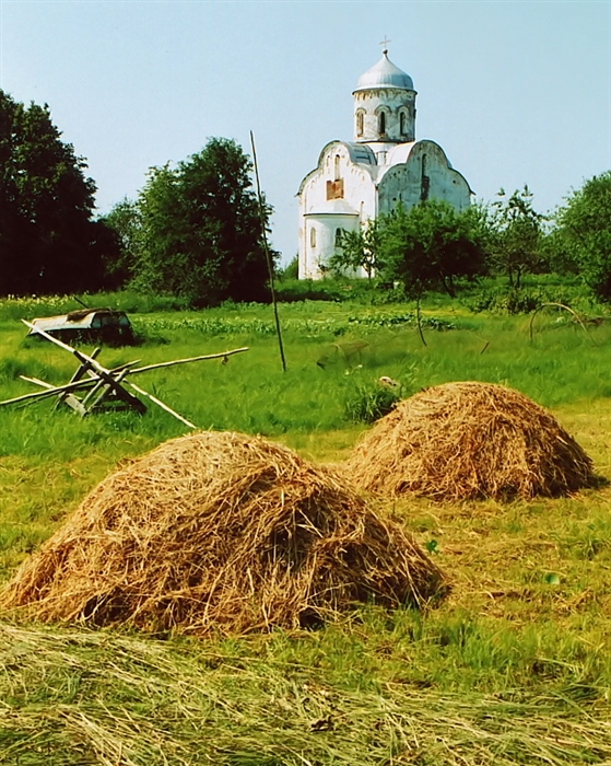 Фото жизнь