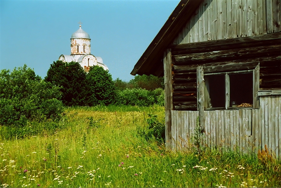 Фото жизнь