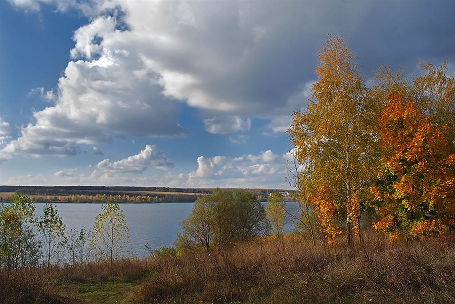 Фото жизнь
