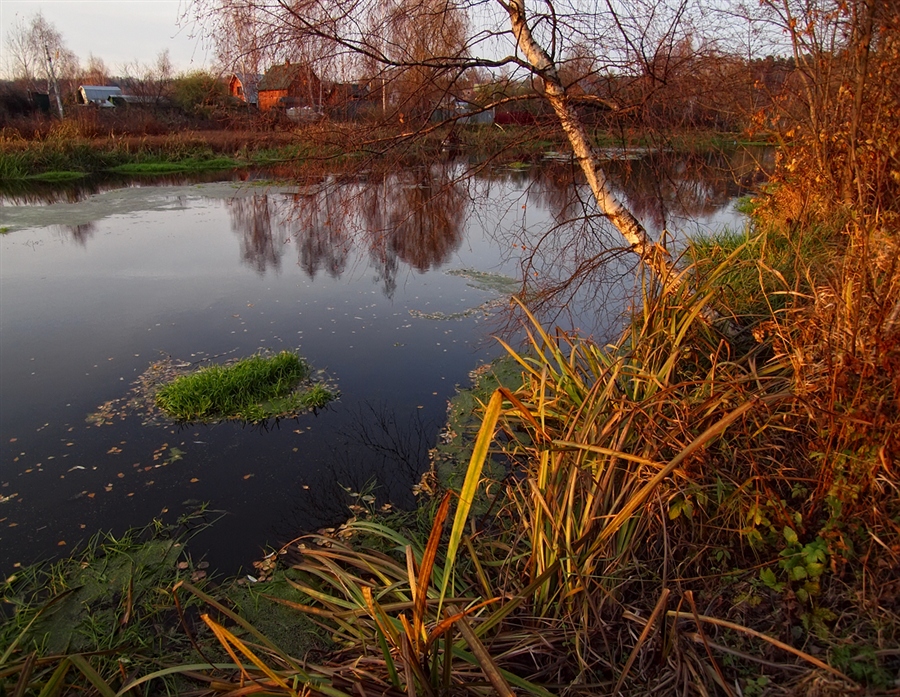 Фото жизнь