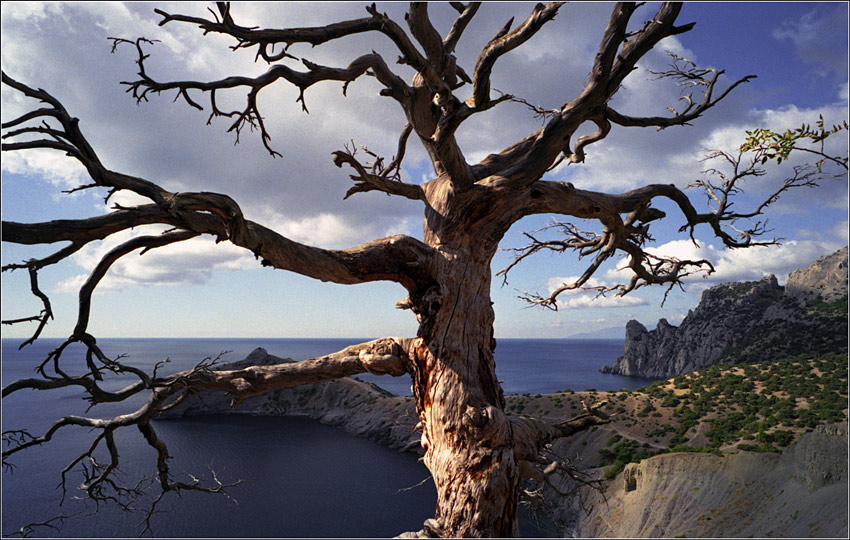 Фото жизнь - p2stepan2 - корневой каталог - ландшафтная деревянная 3