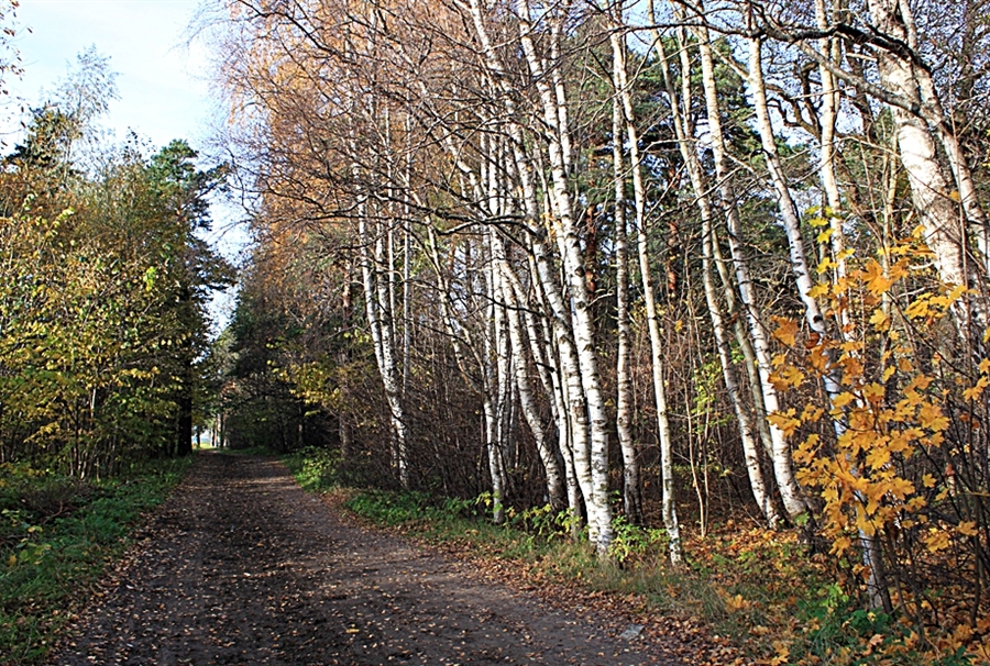 Фото жизнь