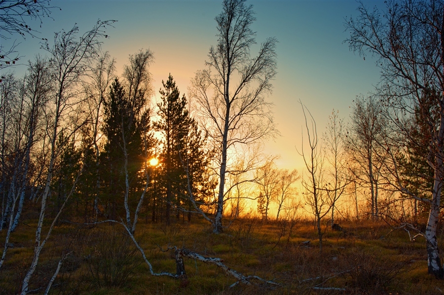 Фото жизнь