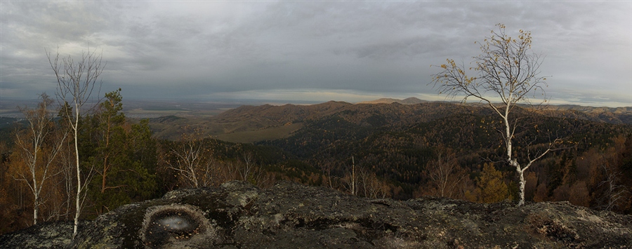 Фото жизнь