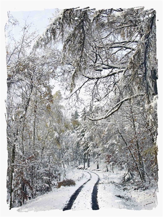 Фото жизнь