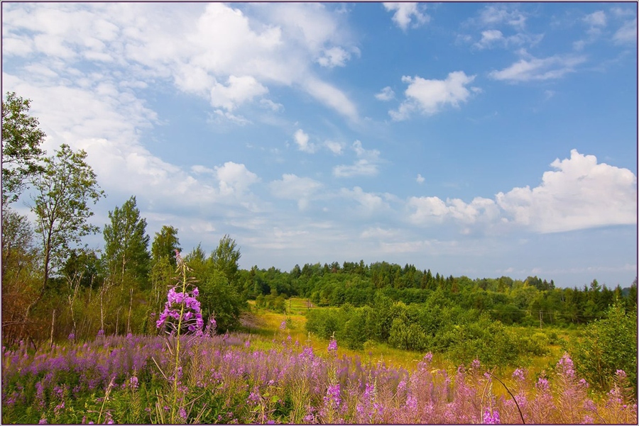 Фото жизнь