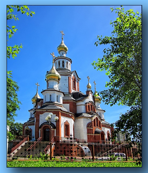 Фото жизнь