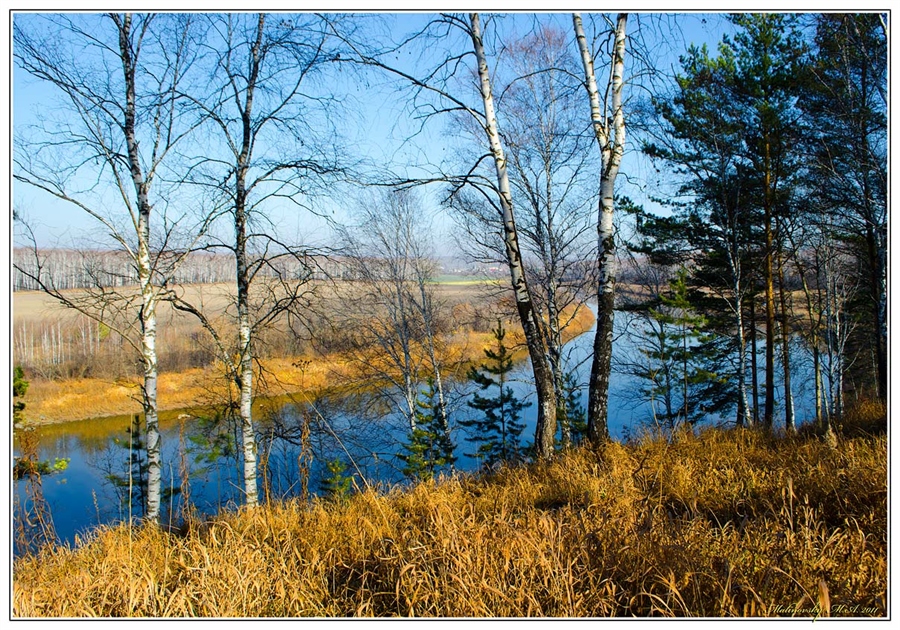 Фото жизнь