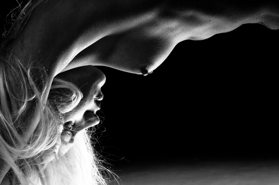 Фото жизнь (light) - Александр Мыколенко - корневой каталог - серия " Сухая кожа"
