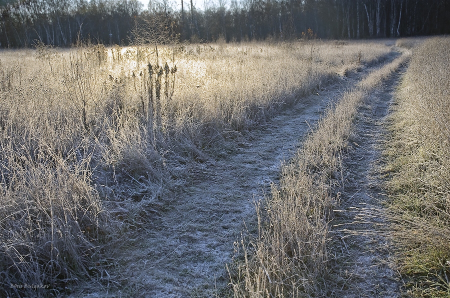 Фото жизнь