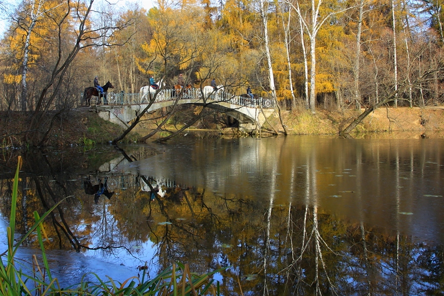 Фото жизнь