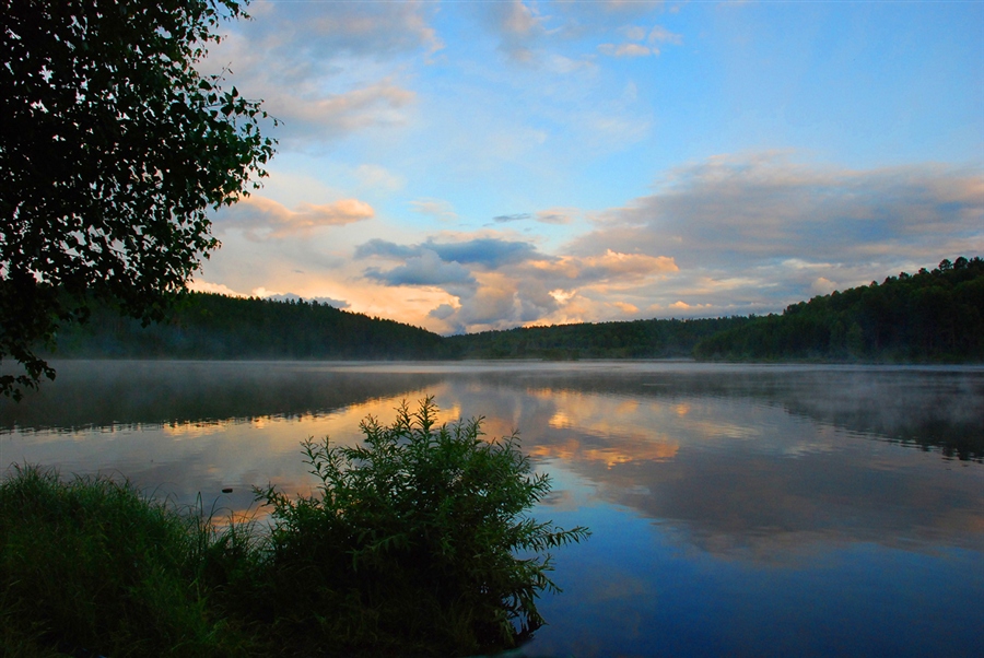 Фото жизнь