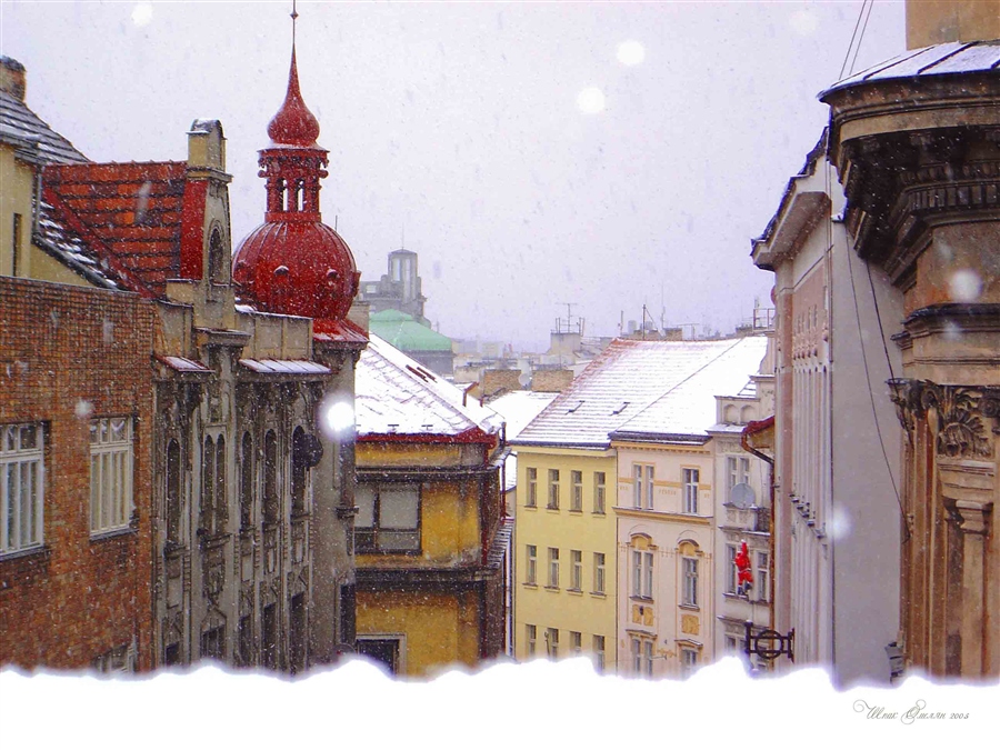Фото жизнь