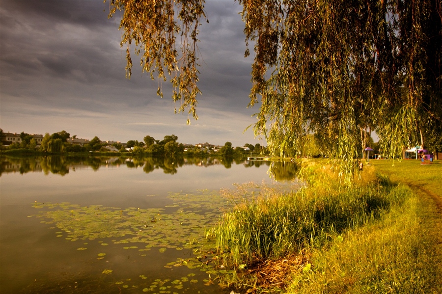 Фото жизнь
