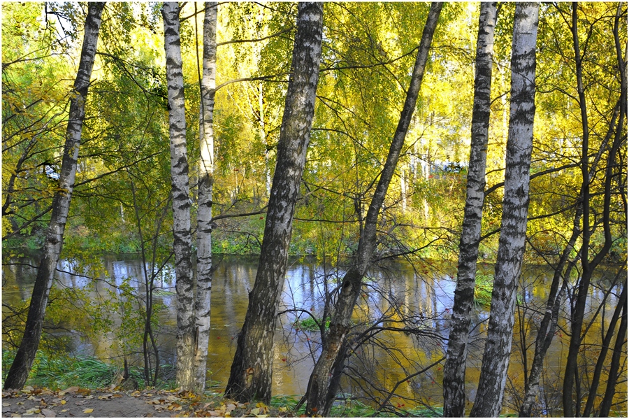 Фото жизнь