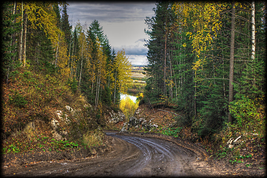 Фото жизнь