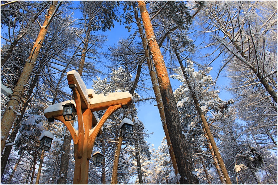 Фото жизнь