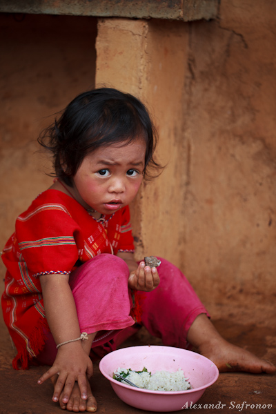 Фото жизнь - Alexandr Safronov - Тайланд - Страна контрастов !!! - опять рис ...