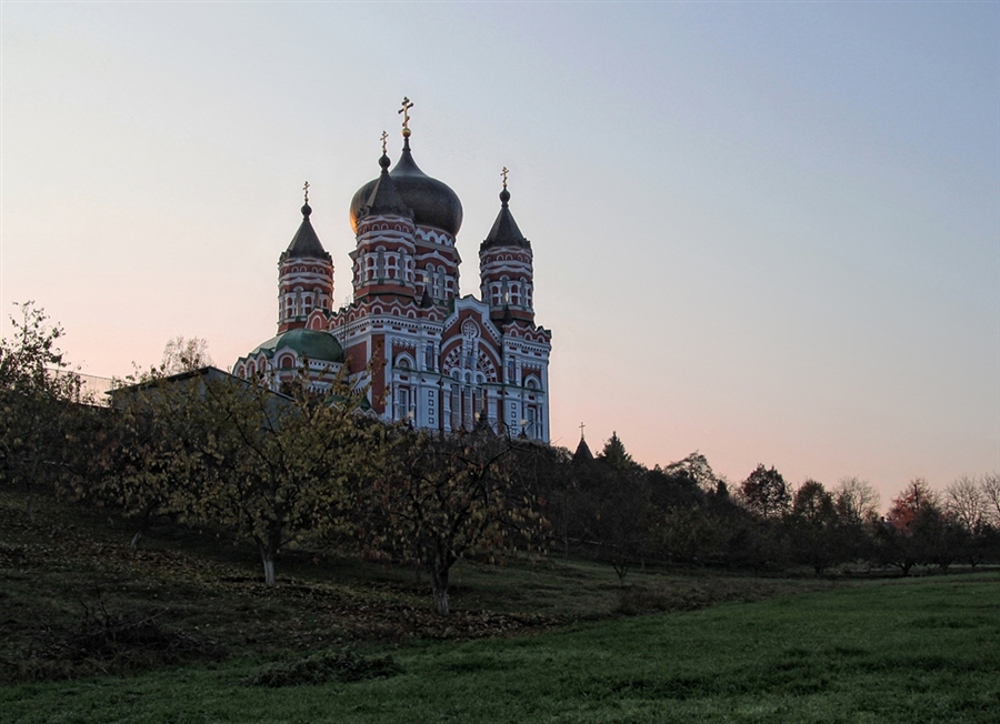 Фото жизнь