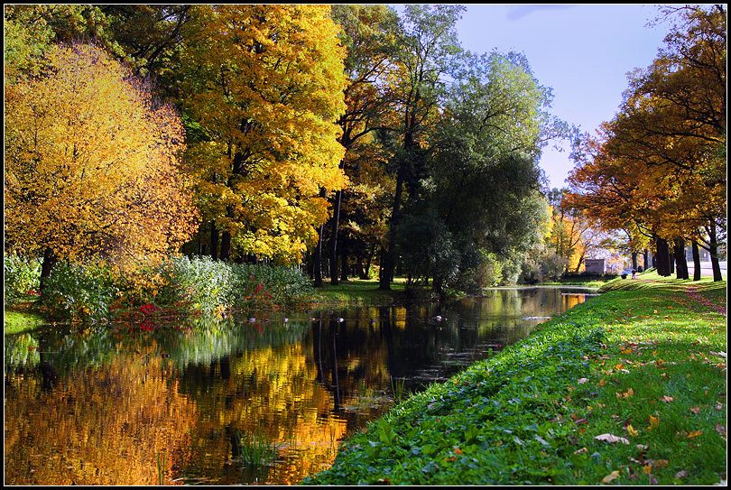 Фото жизнь (light) - Игорь Горелов - Природа. - октябрь 2011