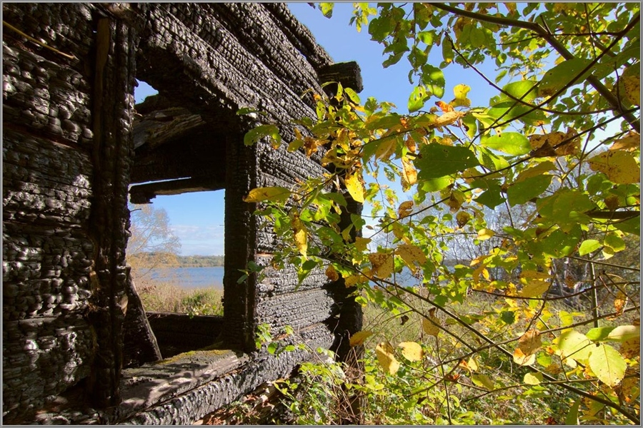 Фото жизнь