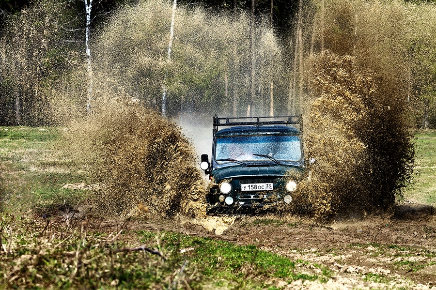 Фото жизнь