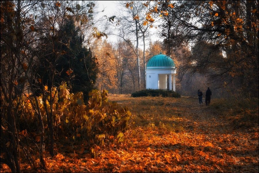 Осенняя прогулка