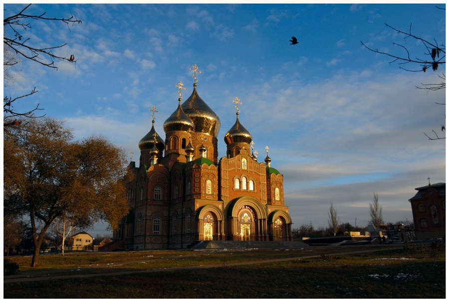 Фото жизнь