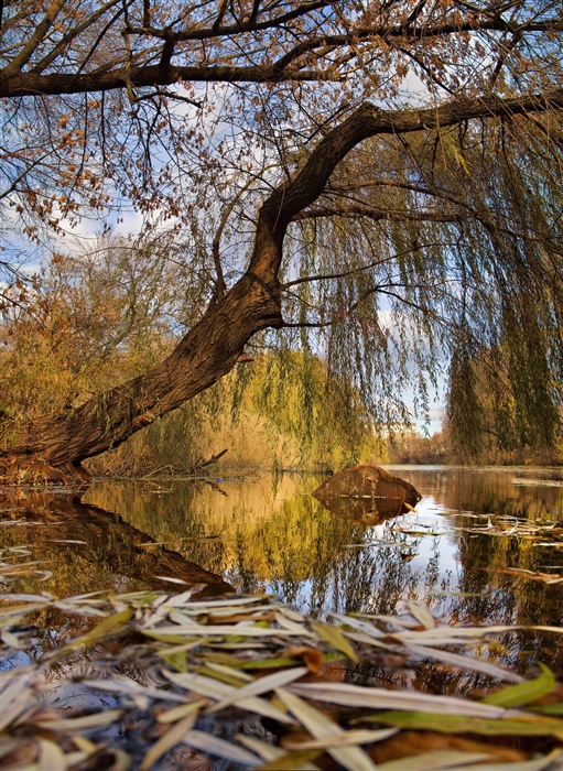 Фото жизнь