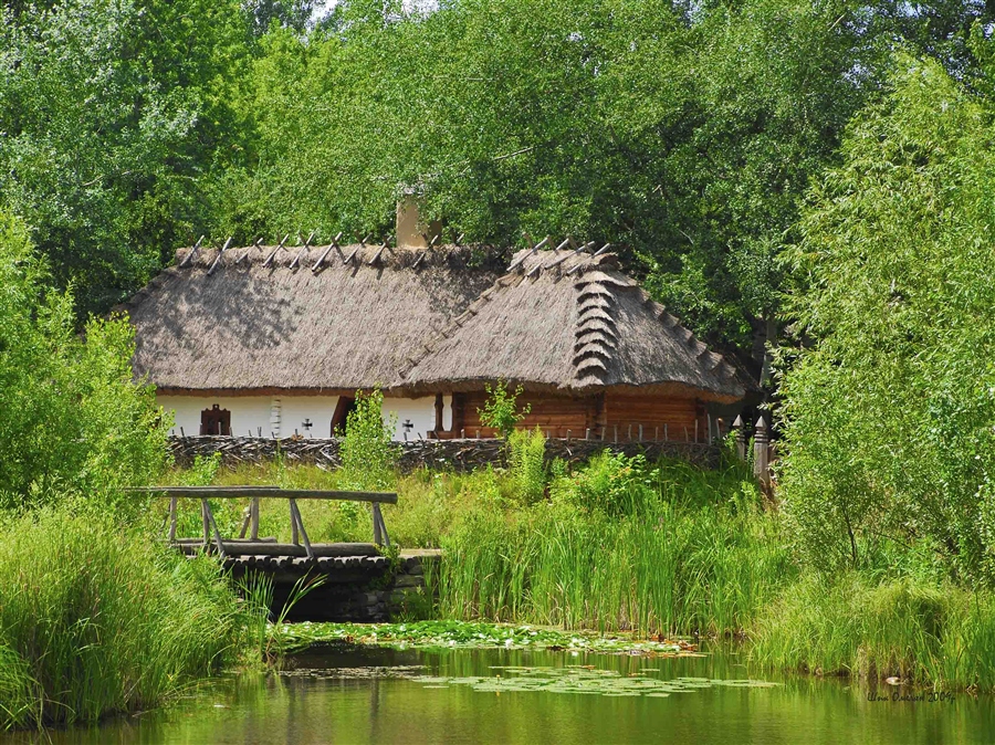 Фото жизнь