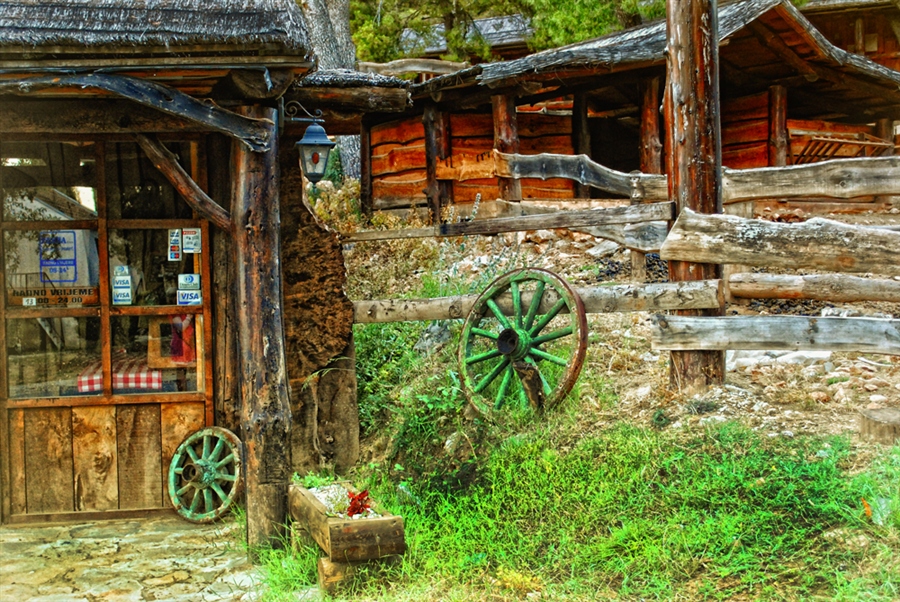 Фото жизнь