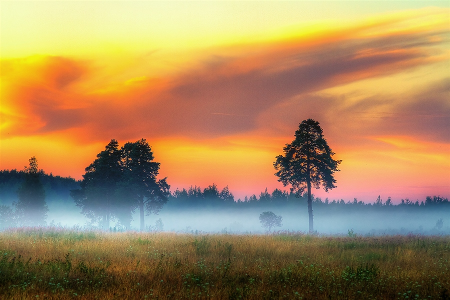 Фото жизнь