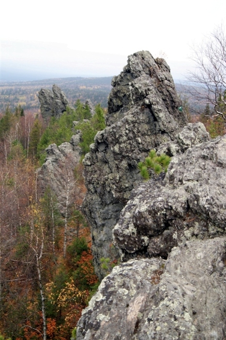 Фото жизнь