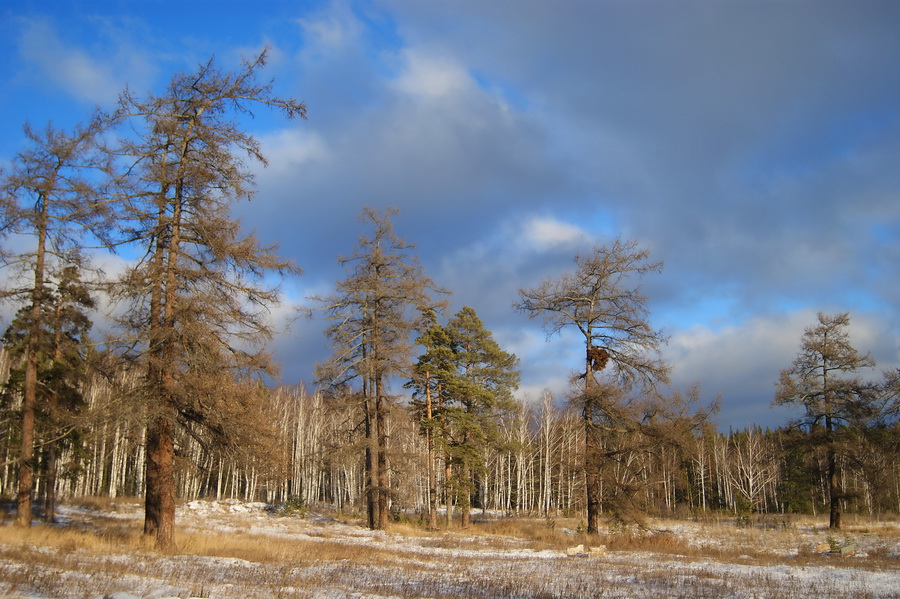 Фото жизнь (light) - Serg deMakkinly  - корневой каталог - Да... мало снега,мало...