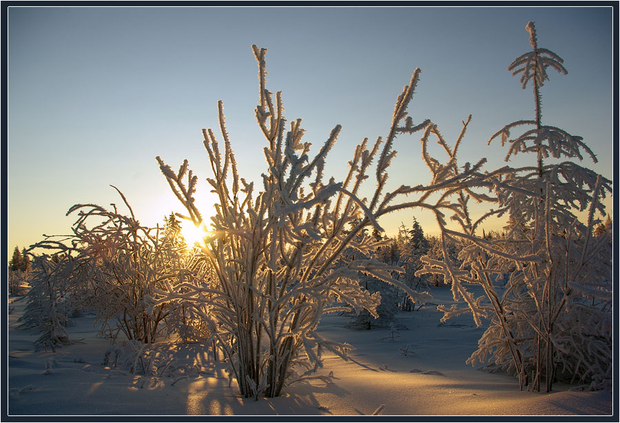Фото жизнь (light) - Виктор Солодухин - Сказочная зима - Мороз и солнце