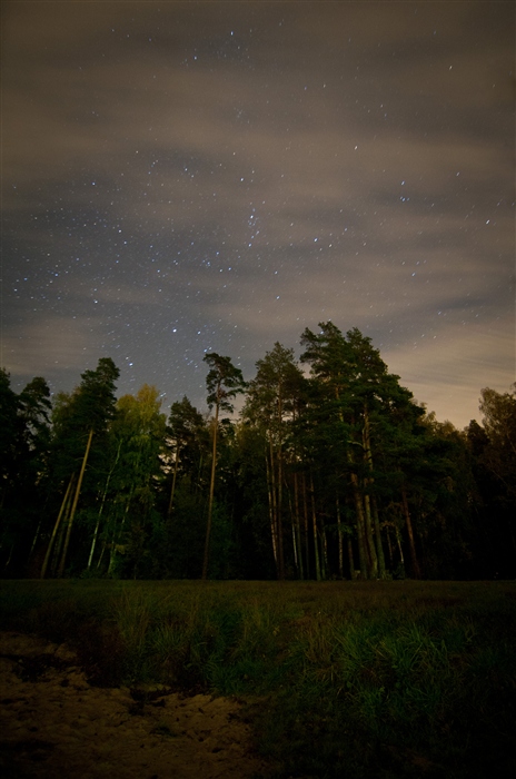 Фото жизнь