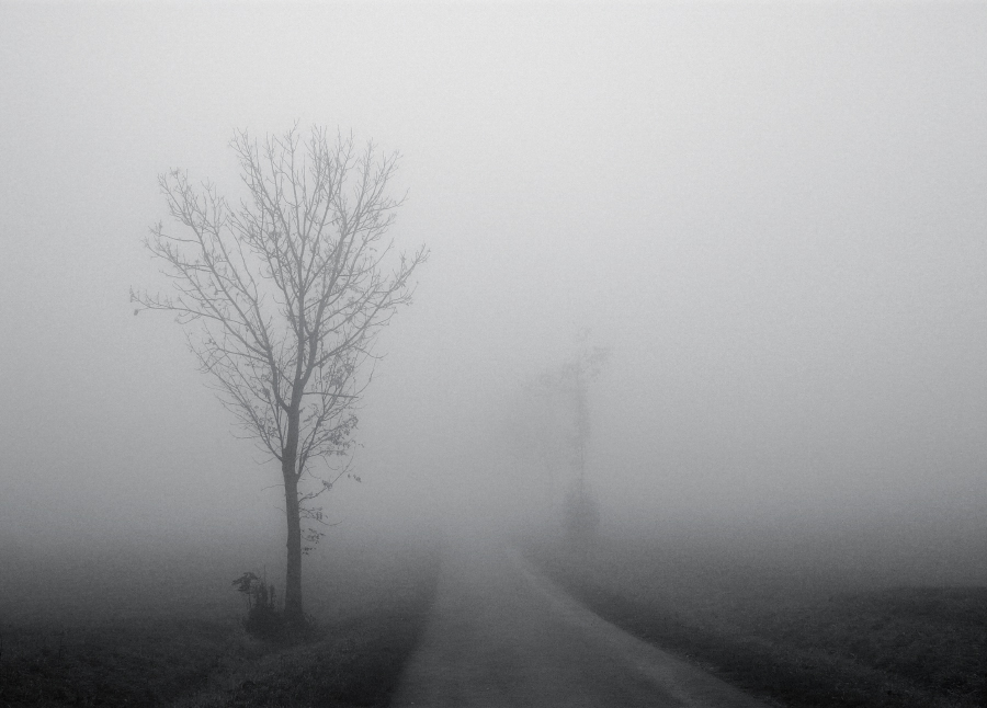 Фото жизнь (light) - mystera - Faszination Nebel. - Opening...