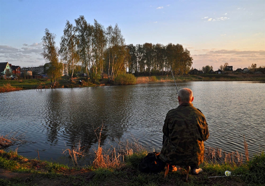Фото жизнь