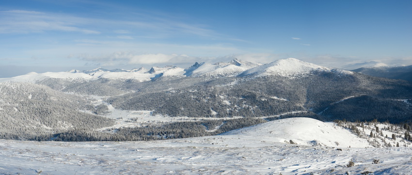 Фото жизнь